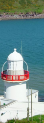 The Lighthouse