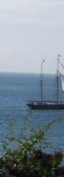 Old Ship
