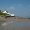 The 49 Steps - Youghal