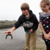 Crab Fishing