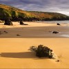 Goat Island